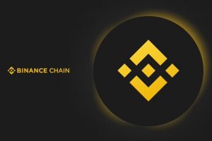 Validator: Binance Smart Chain Staking Parameters