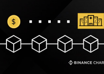 This is Where Your Satoshis Go: The Journey of Your Donation with Binance Charity