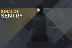 Binance Sentry Report: Findings on the Prevalence of Online Investment Schemes