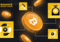 4 Ways To Do More With BTC on Binance Smart Chain!