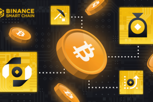 4 Ways To Do More With BTC on Binance Smart Chain!