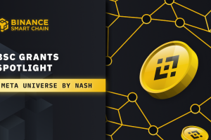 BSC Grants Spotlight: Meta Universe by Nash