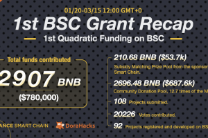 The 1st BSC Grant Recap: $780k Contributed to 108 Global Projects