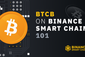 BTCB on Binance Smart Chain 101