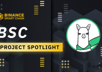BSC Project Spotlight: Alpaca Finance