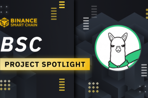 BSC Project Spotlight: Alpaca Finance