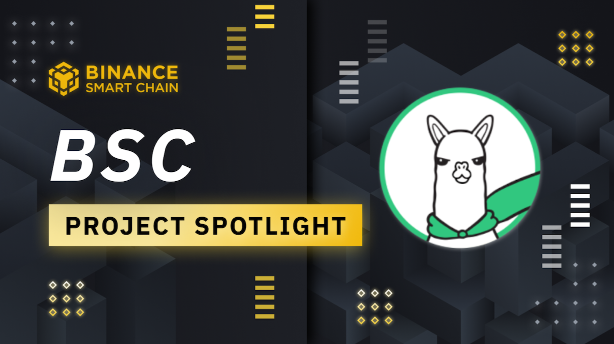 alpaca coin binance