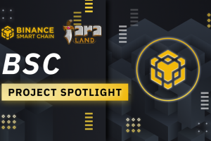 BSC Project Spotlight: Faraland