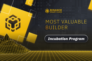 Launching the MVB Incubation Program