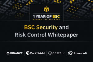 Beyond the Big Bang: Security and Risk Control Whitepaper v1.0