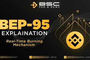 Introducing BEP-95 With a Real-Time Burning Mechanism