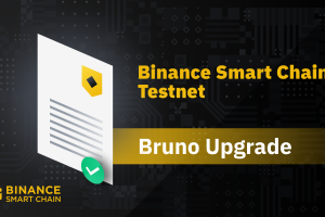 Binance Smart Chain Testnet Bruno Upgrade