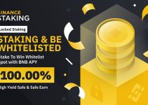 Stake & Be Whitelisted to Earn 100% APY with BNB Staking