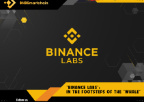 “Binance Labs”: In the footsteps of the “whale”