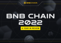 BNB Chain Enjoys Significant Growth in 2022 Despite Crypto Winter