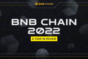 BNB Chain Enjoys Significant Growth in 2022 Despite Crypto Winter