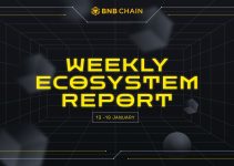 BNB Chain Weekly Ecosystem Report (13-19 January)