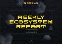 BNB Chain Weekly Ecosystem Report (6-12 January)