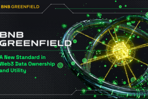 BNB Greenfield: A New Standard in Web3 Data Ownership and Utility