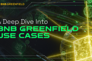 A Deep Dive Into BNB Greenfield Use Cases