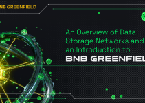 An Overview of Data Storage Networks and an Introduction to BNB Greenfield