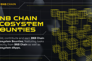 BNB Chain Introduces New Ecosystem Bounty Board