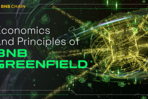Economics and Principles of BNB Greenfield