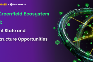 BNB Greenfield Ecosystem Part 1: Current State and Infrastructure Opportunities
