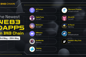 New Projects on BNB Chain (23rd May – 31st May)