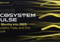 BNB’s Ecosystem Pulse – Six Months into 2023: Triumphs, Trials, and the Uplifting Future