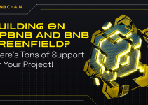 Building on opBNB and BNB Greenfield? There’s Tons of Support for Your Project!