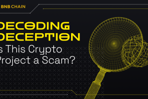 Decoding Deception: Is This Crypto Project a Scam or Beware?