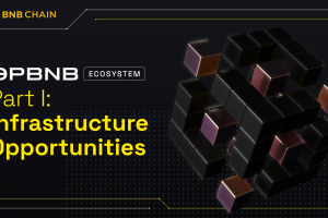OpBNB Ecosystem Part 1: Infrastructure Opportunities
