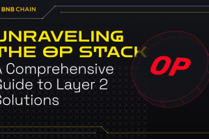 Unraveling the OP Stack: A Comprehensive Guide to Layer 2 Solutions