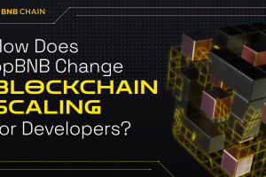 opBNB: New Scaling Economically for Developers L1
