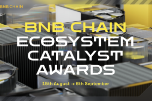 BNB Chain Ecosystem Catalyst Awards