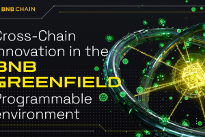 Cross-Chain Innovation in the BNB Greenfield Programmable Environment