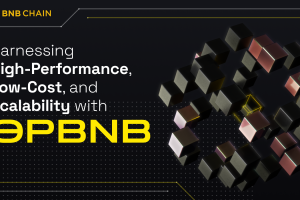 Harnessing High-Performance, Low-Cost, and Scalability with opBNB