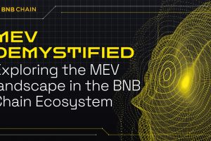 MEV Demystified: Exploring the MEV landscape in the BNB Chain Ecosystem