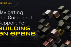 opBNB: Navigating The Guide and Support For New Building on opBNB L2