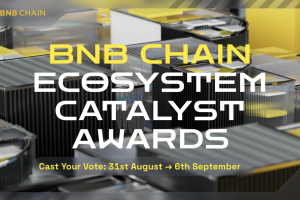 Cast Your Vote for the BNB Chain Ecosystem Catalyst Awards