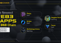 Newest Projects on BNB Chain (September 15th – 21st)
