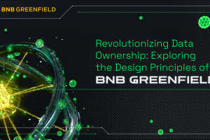 Revolutionizing Data Ownership: Exploring the Design Principles of BNB Greenfield