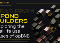 opBNB: Providing Low Gas Fees For Mass Web3 Adoption