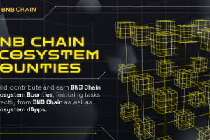 BNB Chain Ecosystem Bounties!