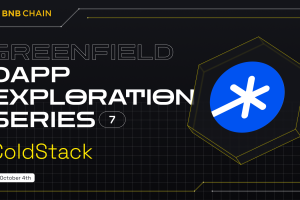 Greenfield dApp Exploration Series: Coldstack