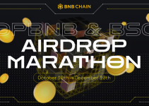 The BNB Chain Airdrop Marathon: 2 Months of Token Treasures