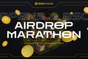 The BNB Chain Airdrop Marathon: 2 Months of Token Treasures