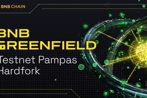 BNB Greenfield Testnet: Pampas Hardfork