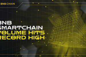 Analysis: BNB Smart Chain (BSC) Hits Record High For Transactions Processed December 7
